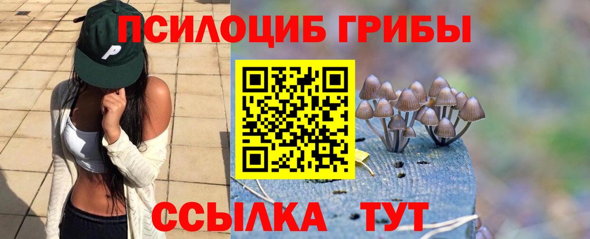 Псилоцибиновые грибы ЛСД Ессентуки